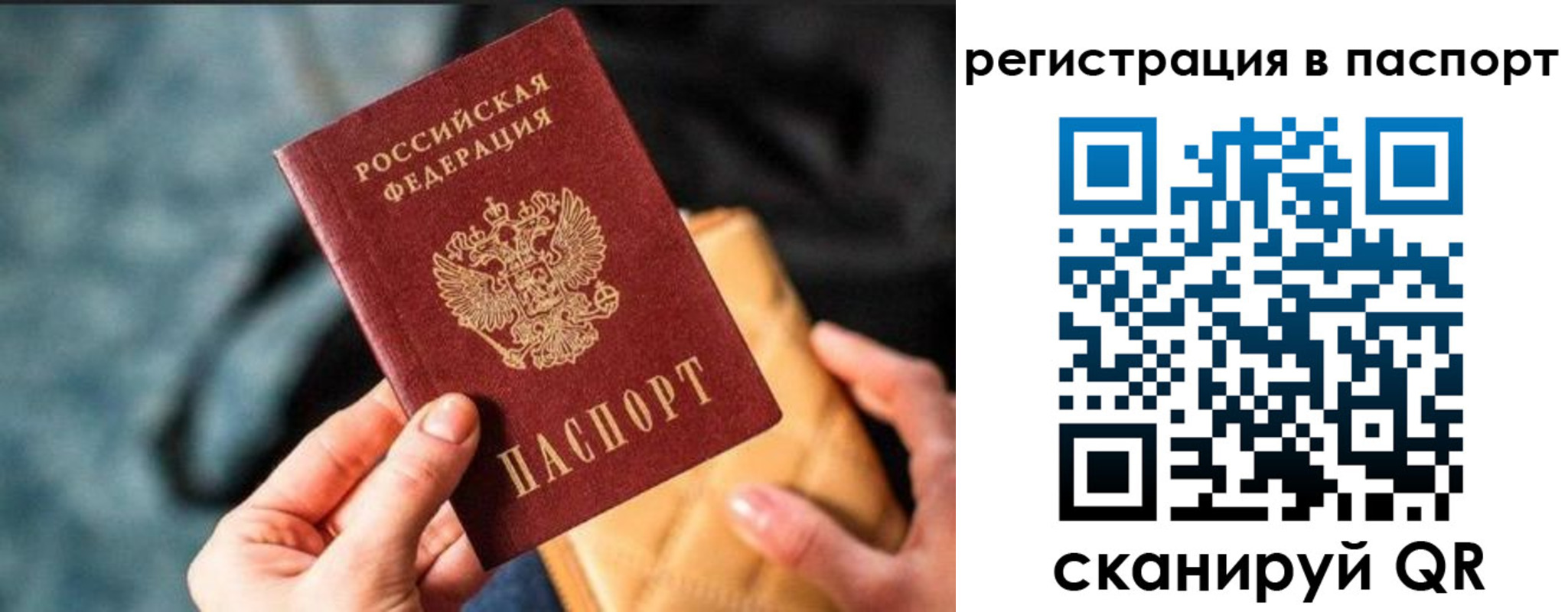 временная регистрация купить в Жукове